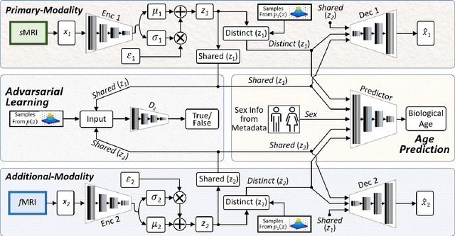 Figure 2 for Biological Brain Age Estimation using Sex-Aware Adversarial Variational Autoencoder with Multimodal Neuroimages