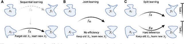 Figure 1 for Brain-inspired continual pre-trained learner via silent synaptic consolidation