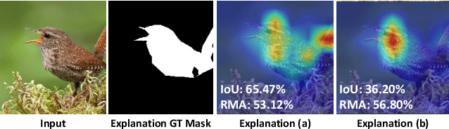 Figure 1 for Beyond Accuracy: On the Effects of Fine-tuning Towards Vision-Language Model's Prediction Rationality