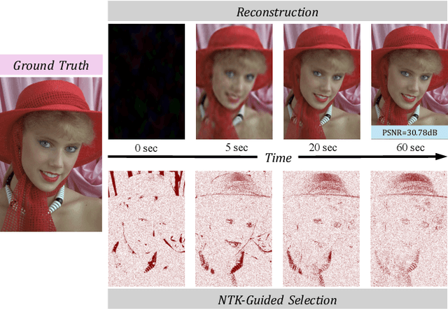 Figure 1 for NTK-Guided Implicit Neural Teaching