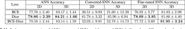 Figure 2 for Hybrid Spiking Neural Network Fine-tuning for Hippocampus Segmentation