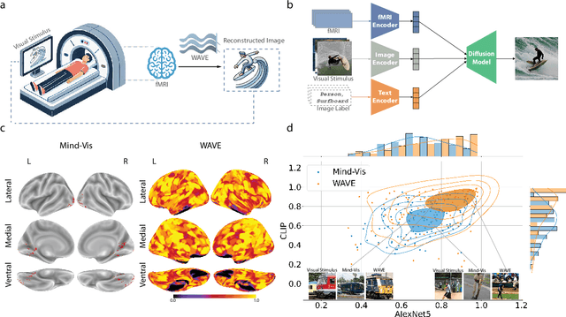 Figure 1 for Decoding Visual Experience and Mapping Semantics through Whole-Brain Analysis Using fMRI Foundation Models