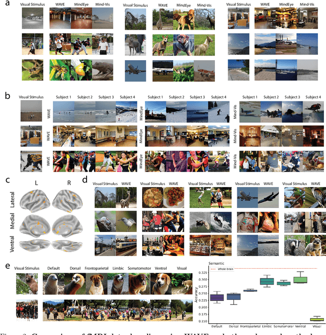 Figure 4 for Decoding Visual Experience and Mapping Semantics through Whole-Brain Analysis Using fMRI Foundation Models