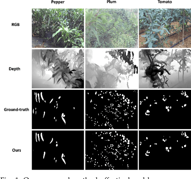 Figure 1 for HiddenObject: Modality-Agnostic Fusion for Multimodal Hidden Object Detection