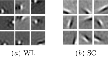 Figure 1 for Sparse, Geometric Autoencoder Models of V1