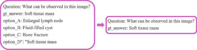 Figure 3 for A Lightweight Large Vision-language Model for Multimodal Medical Images