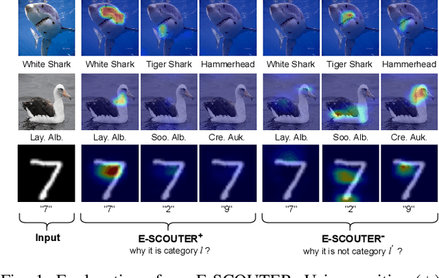 Figure 1 for Explainable Image Recognition via Enhanced Slot-attention Based Classifier