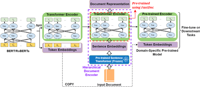 Figure 1 for $FPDM$: Domain-Specific Fast Pre-training Technique using Document-Level Metadata