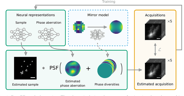 Figure 1 for DeepPD: Joint Phase and Object Estimation from Phase Diversity with Neural Calibration of a Deformable Mirror