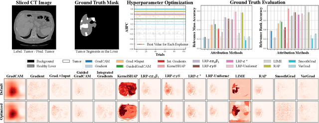 Figure 4 for PnPXAI: A Universal XAI Framework Providing Automatic Explanations Across Diverse Modalities and Models