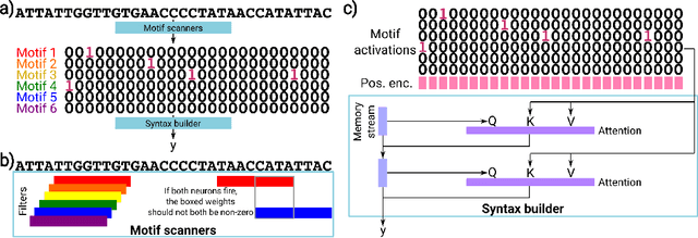 Figure 1 for A mechanistically interpretable neural network for regulatory genomics
