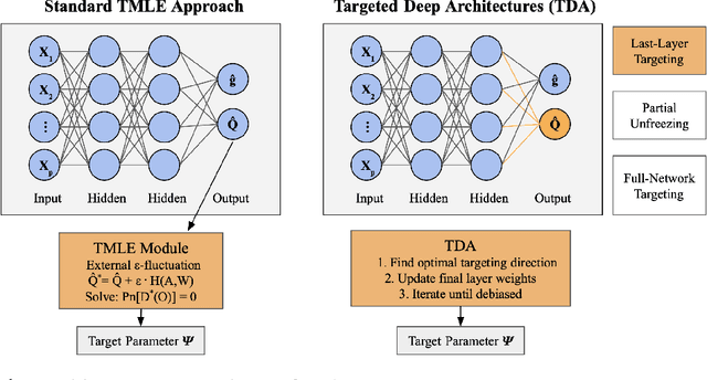 Figure 1 for Targeted Deep Architectures: A TMLE-Based Framework for Robust Causal Inference in Neural Networks