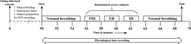 Figure 1 for Brain-scale Theta Band Functional Connectivity As A Signature of Slow Breathing and Breath-hold Phases