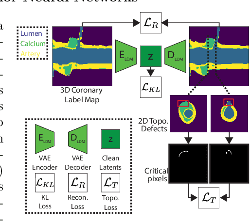 Figure 3 for A Diffusion Model for Simulation Ready Coronary Anatomy with Morpho-skeletal Control