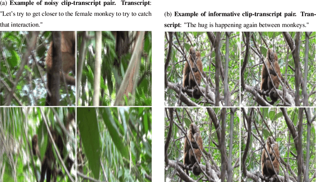 Figure 3 for Fine-Tuning Video-Text Contrastive Model for Primate Behavior Retrieval from Unlabeled Raw Videos