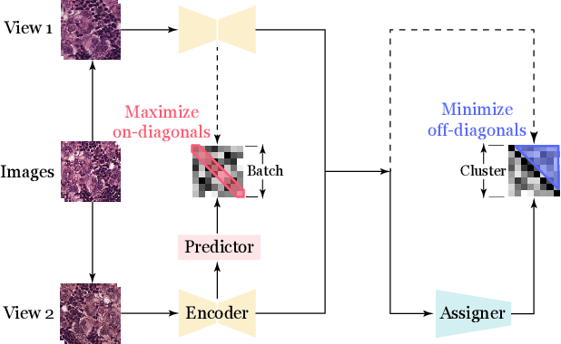 Figure 3 for Improving Representation Learning for Histopathologic Images with Cluster Constraints