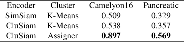 Figure 2 for Improving Representation Learning for Histopathologic Images with Cluster Constraints