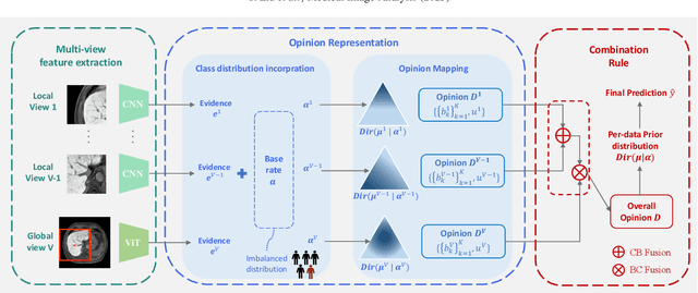 Figure 3 for MERIT: Multi-view Evidential learning for Reliable and Interpretable liver fibrosis sTaging