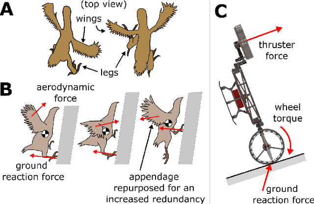 Figure 2 for Dynamic modeling of wing-assisted inclined running with a morphing multi-modal robot