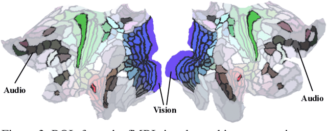 Figure 4 for CineBrain: A Large-Scale Multi-Modal Brain Dataset During Naturalistic Audiovisual Narrative Processing