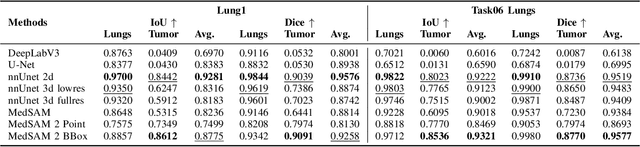 Figure 4 for Can Foundation Models Really Segment Tumors? A Benchmarking Odyssey in Lung CT Imaging