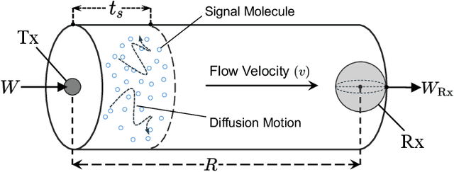 Figure 1 for Semantic Learning for Molecular Communication in Internet of Bio-Nano Things