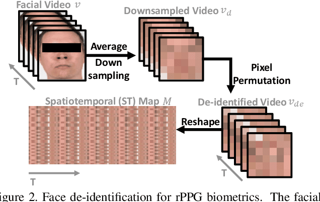 Figure 3 for Biometric Authentication Based on Enhanced Remote Photoplethysmography Signal Morphology
