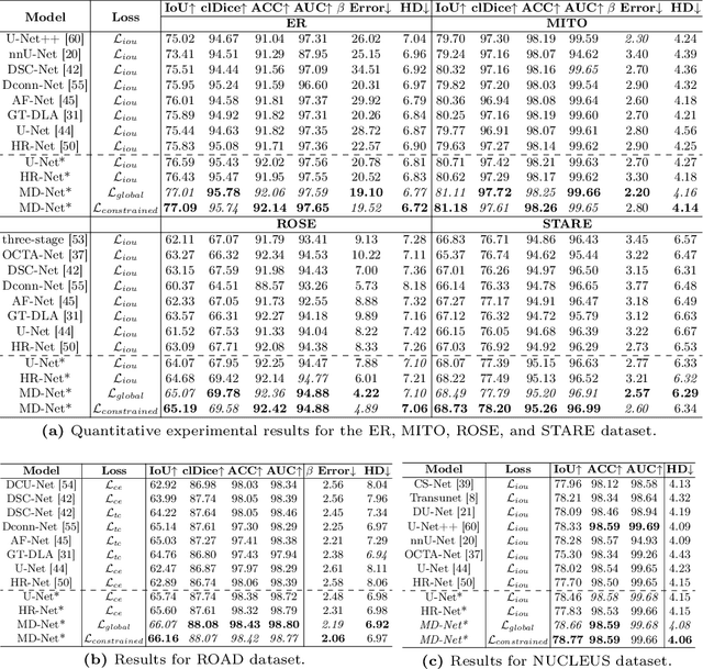 Figure 2 for Representing Topological Self-Similarity Using Fractal Feature Maps for Accurate Segmentation of Tubular Structures