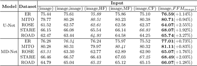 Figure 4 for Representing Topological Self-Similarity Using Fractal Feature Maps for Accurate Segmentation of Tubular Structures