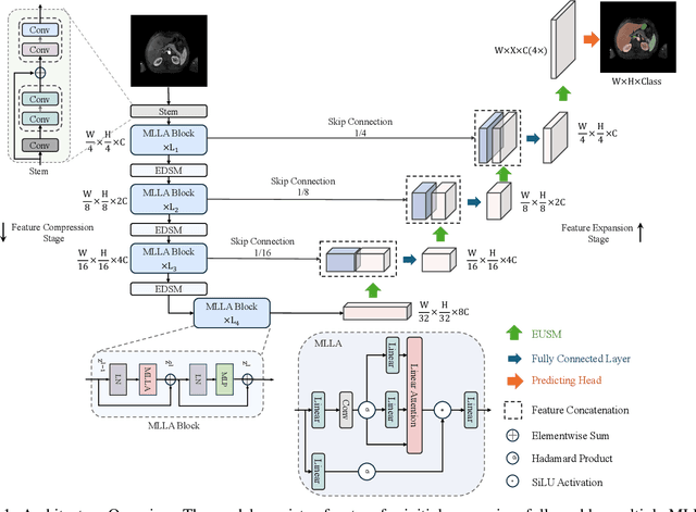Figure 1 for MLLA-UNet: Mamba-like Linear Attention in an Efficient U-Shape Model for Medical Image Segmentation