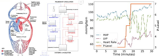 Figure 1 for Data-Driven Simulator for Mechanical Circulatory Support with Domain Adversarial Neural Process