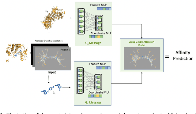 Figure 1 for Dynamic Molecular Graph-based Implementation for Biophysical Properties Prediction