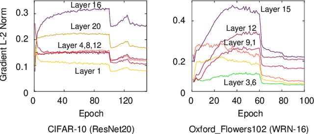 Figure 1 for Layer-wise Adaptive Gradient Norm Penalizing Method for Efficient and Accurate Deep Learning
