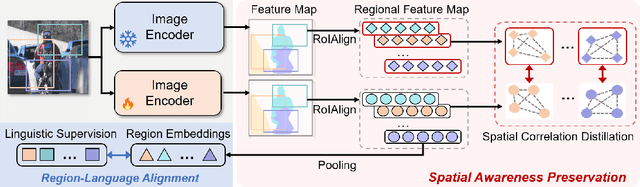 Figure 3 for Refining CLIP's Spatial Awareness: A Visual-Centric Perspective