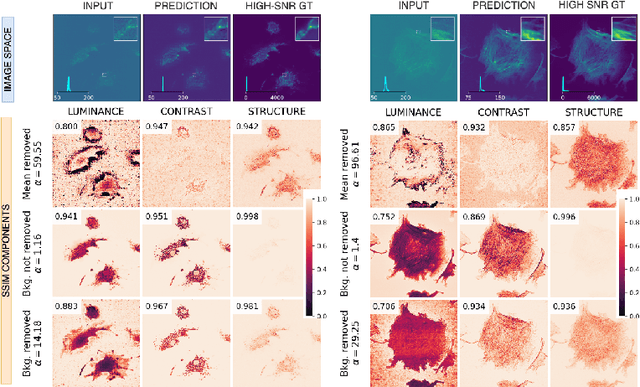 Figure 4 for MicroSSIM: Improved Structural Similarity for Comparing Microscopy Data