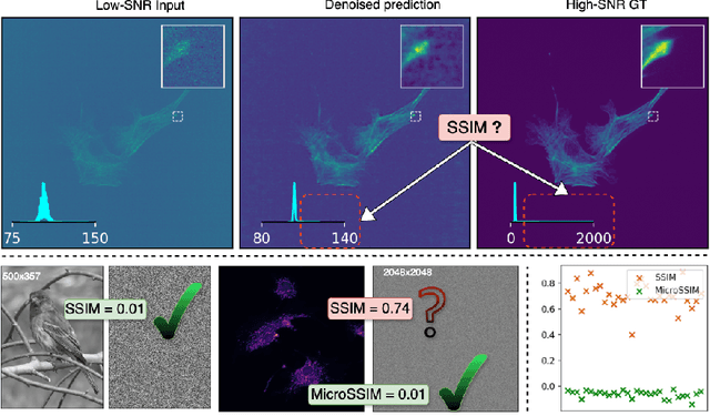 Figure 1 for MicroSSIM: Improved Structural Similarity for Comparing Microscopy Data