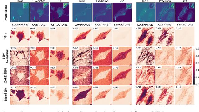 Figure 2 for MicroSSIM: Improved Structural Similarity for Comparing Microscopy Data