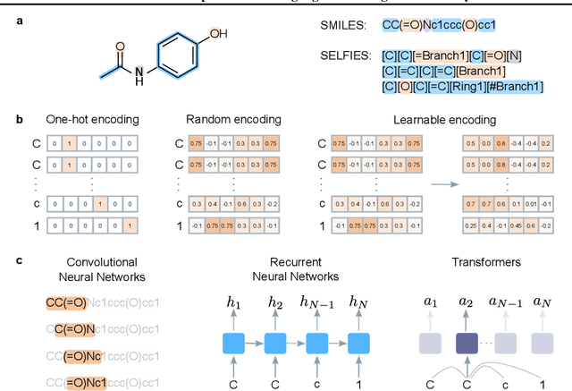 Figure 1 for A Hitchhiker's Guide to Deep Chemical Language Processing for Bioactivity Prediction