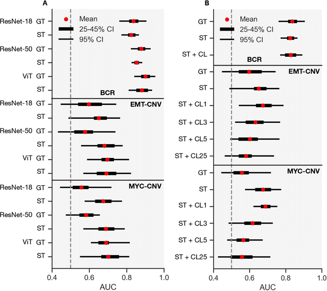 Figure 4 for Histology-informed tiling of whole tissue sections improves the interpretability and predictability of cancer relapse and genetic alterations