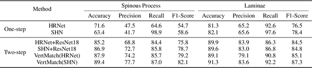 Figure 4 for VertMatch: A Semi-supervised Framework for Vertebral Structure Detection in 3D Ultrasound Volume