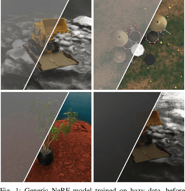 Figure 1 for Removing Adverse Volumetric Effects From Trained Neural Radiance Fields