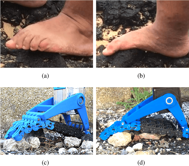 Figure 1 for Analytical Model and Experimental Testing of the SoftFoot: an Adaptive Robot Foot for Walking over Obstacles and Irregular Terrains
