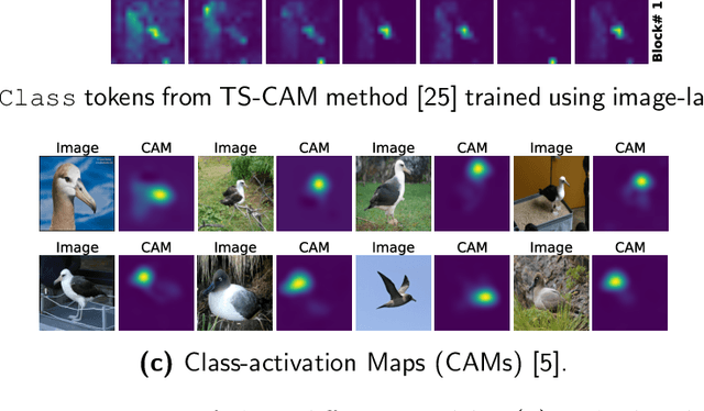 Figure 1 for DiPS: Discriminative Pseudo-Label Sampling with Self-Supervised Transformers for Weakly Supervised Object Localization