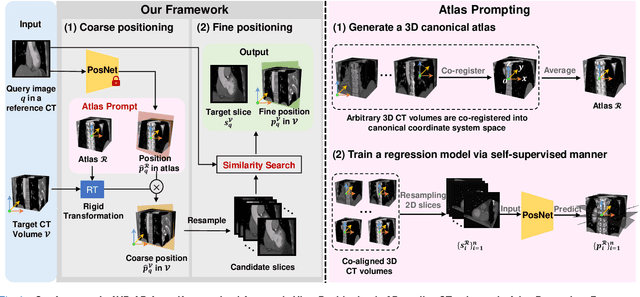Figure 2 for AVP-AP: Self-supervised Automatic View Positioning in 3D cardiac CT via Atlas Prompting