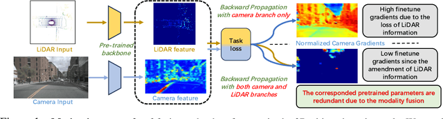 Figure 1 for AlterMOMA: Fusion Redundancy Pruning for Camera-LiDAR Fusion Models with Alternative Modality Masking