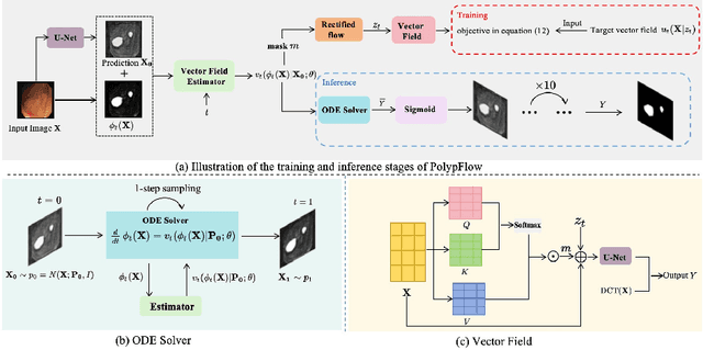 Figure 1 for PolypFlow: Reinforcing Polyp Segmentation with Flow-Driven Dynamics