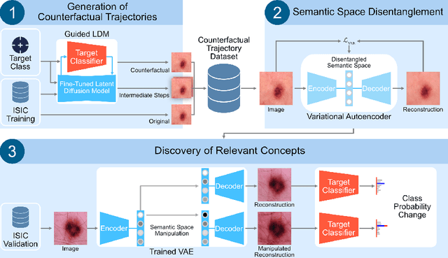 Figure 1 for Generating Counterfactual Trajectories with Latent Diffusion Models for Concept Discovery