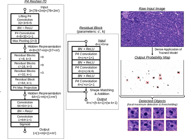 Figure 1 for Fine-Grained Hard Negative Mining: Generalizing Mitosis Detection with a Fifth of the MIDOG 2022 Dataset