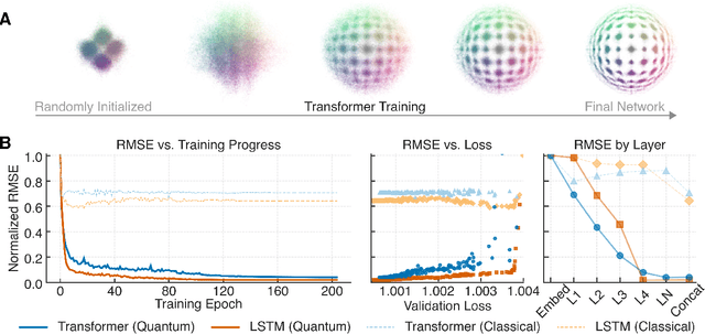 Figure 3 for Neural networks leverage nominally quantum and post-quantum representations
