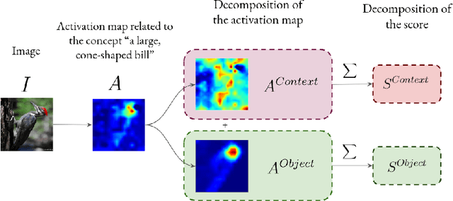Figure 3 for Enhancing Concept Localization in CLIP-based Concept Bottleneck Models